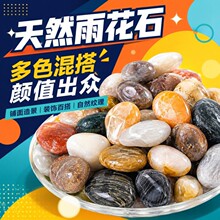 精选天然五彩石雨花石鱼缸石头水池造景石花盆花台水石材大块