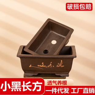 ��ɰ������þGֲ������ɰ�辰ͥԺ�̨�N�����մ��R���賬���L�l