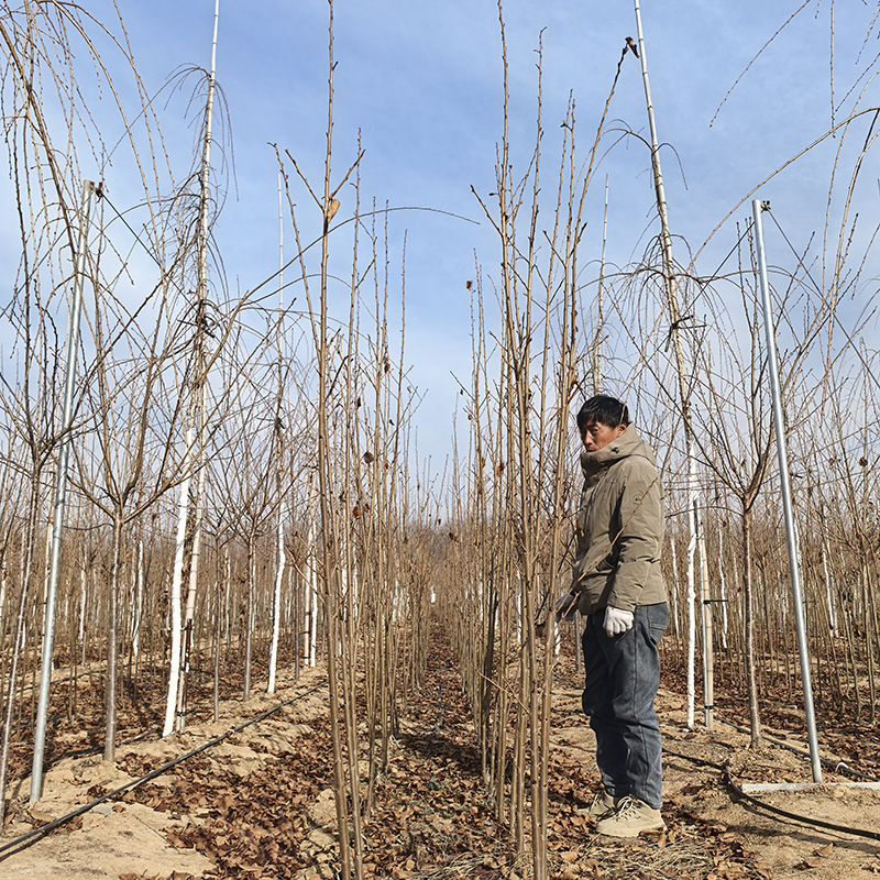 c6c21c1a-d1aa-4917-b0be-5b93f9