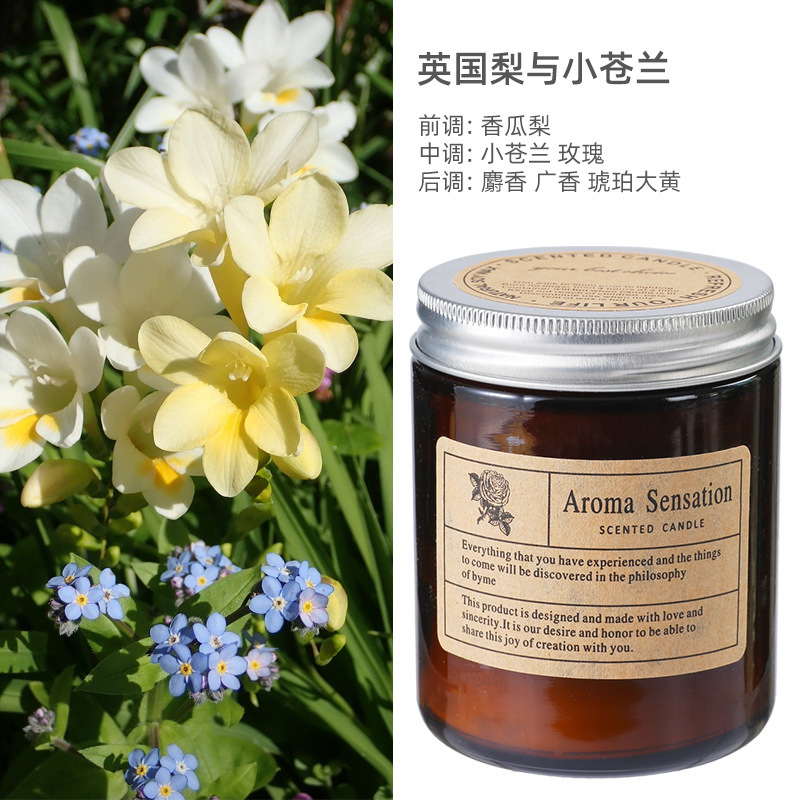 Hogar libre de humo taza de té grande aromaterapia vela DIY fragancia romántica planta cera aromaterapia regalo para las mujeres Al Por Mayor