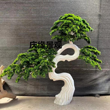 �����ɘ�Gֲ���X���k���ǲ�ˮ�g������̨���s�b��L