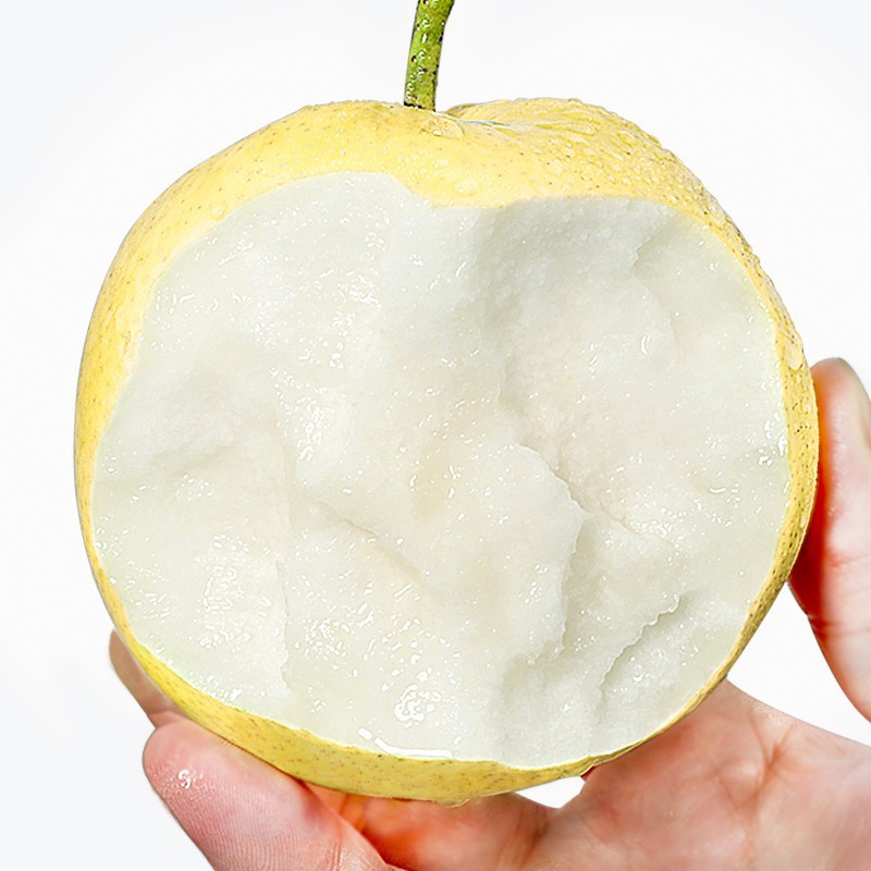 1.5kg - 작은 과일 [왕관배] 배를 찌고 착즙하는데 첫 번째 선택