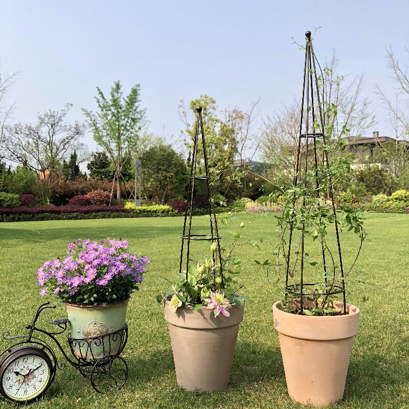 工厂直销植物爬藤架铁线莲龟甲龙铁艺锥形支架球花架阳台爬藤架