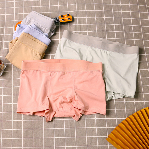 Multi-pack men's underwear, modal cotton pants, low-waist sexy boxer briefs for boys