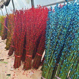 Simulated Silver Willow Dried Flowers, Real Flowers, Fresh Branches, Hydroponic Plants, Red Silver Willow New Year's Eve Florals, Lucky Bucket, Living Room Interior Decoration