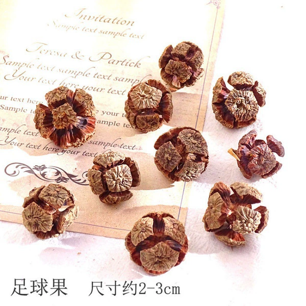 [灰色 足球果10个-干花包]