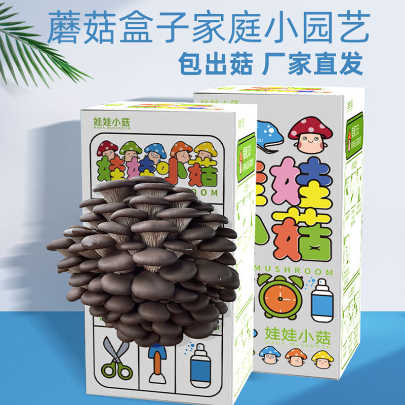 Oyster mushroom grow bag mushroom spawn edible bag mushroom planting mushroom bag balcony fun box DIY children gift