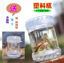 ����С�~�t���ϵ��ƿ�H�ӑ���ץ��׽�~�������Q�r�Wι���r�\����