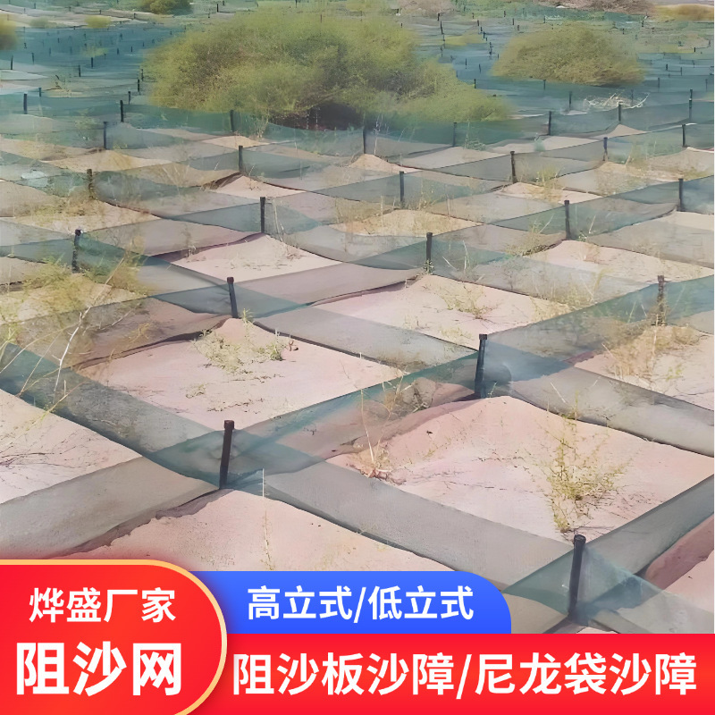 Desert Windproof Sand-Fixing Net Nylon Sand-Fixing Barrier Low Vertical Square Sand-Blocking Net Fence Gobi Desert Treatment Highway Protection Desert Windproof Sand-Fixing Net Nylon Sand-Fixing Barrier Low Vertical Square Sand-Blocking Net Fence Gobi Desert Treatment Highway Protection