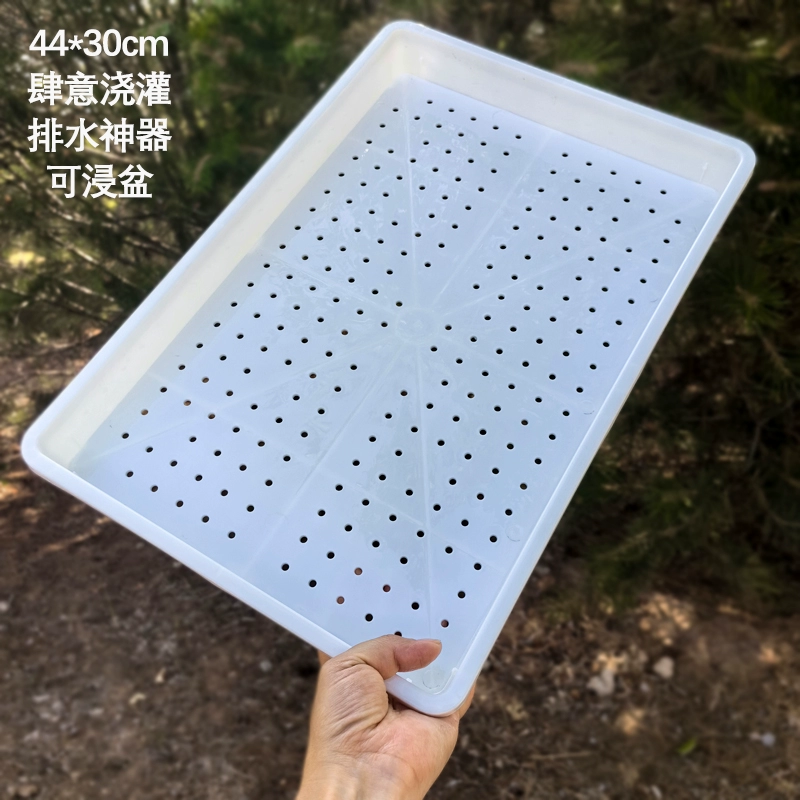 Новый полый поддон для рассады, рамка для бонсай, песочный поддон, герметичный, дышащий, органайзер для суккулентов, цветочный горшок, без скопления воды, белый, черный