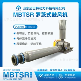 鼓风机;真空泵
