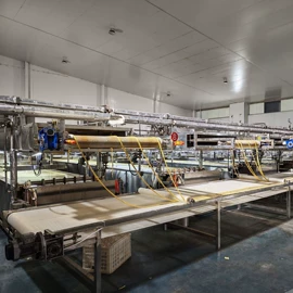 豆制品加工;其他食品加工