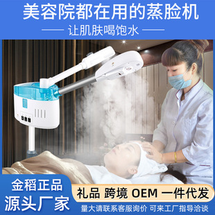 Golden Rice Face Steamer Beauty Salon Beauty Equipment Household Nano Cold and Hot Double Spray Hydrating Apparatus Sprayer Steam Cold Spray