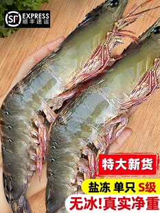 ��϶ࠖ���r���r�r���ك��}��2030���r�����r���r����؛���r