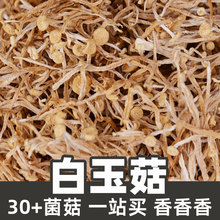 ����1kgʳƷ������ԭ�ϸ�ɢ؛white jade mushroom