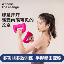 拳击哑铃健身家用宿舍女士空击训练手握哑铃负重运动跑步小型器材