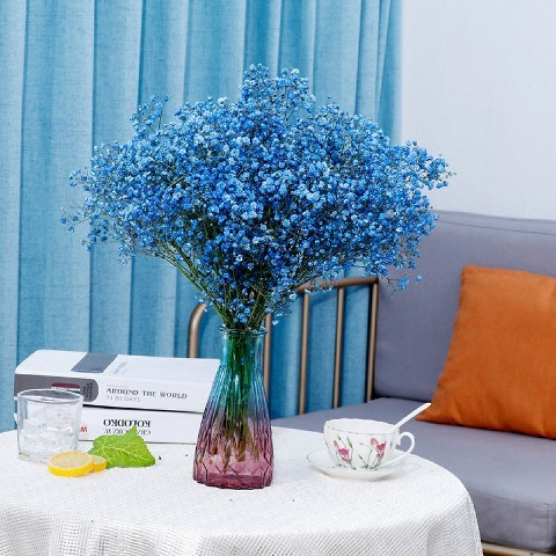 사파이어 블루 안개꽃 - 꽃병 없음