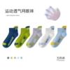 2518 blue letter sports socks