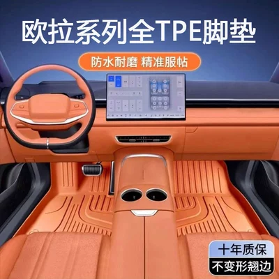 Specially Used for Great Wall Euler Black Cat Good Cat Gt White Cat R1 Lightning Cat Ballet Cat Iq Waterproof Tpe Car Floor Mats