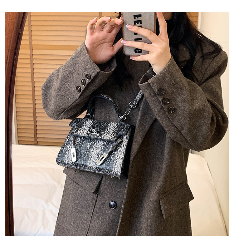 Simple Printed Shoulder New Fashion Casual Platinum Messenger Portable Bag display picture 3