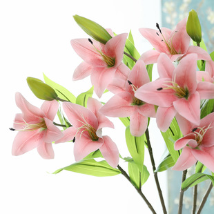 ���滨�ָ��zƬ�ٺϻ��Ҿ��b�c���üٻ����^���m�ٺϔzӰ�͏d