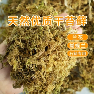 干苔藓水苔纯天然青苔兰花蝴蝶兰石斛种植专用营养土爬宠乌龟垫材