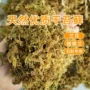 种植纯天然乌龟兰花垫材