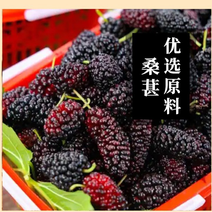 種子循環茶、イチジク、桑の実、亜麻仁、黒クコ、黒豆、本物の素材、独立した三角袋|undefined