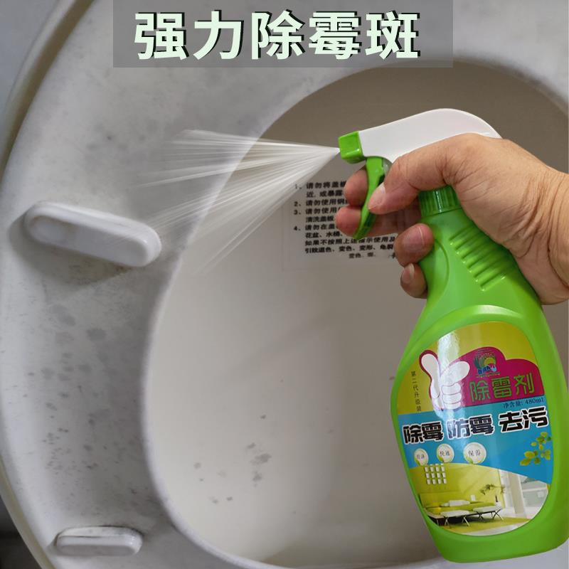 toilet lid household Wall mould wallpaper Stain clean Moss Southern Mildew