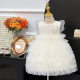 [Ready Stock and Shipped in Seconds] Girls Dress 2025 Summer New Korean Lace Gauze Dress Birthday Dress Princess Dress