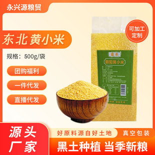 �SС�����װ���500g����bԴ�^���S�|��С���������l����s�Z��