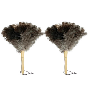 New Cross-Border Ostrich Feather Duster, Feather Duster, Dust Brush, Anti-Static Duster, Desktop Feather Duster