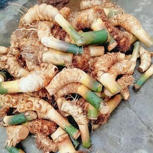 ���ٰlѿ�ļ�����С�~�{���Ʒ�Ϙ��B�������F��Gֲ���������҃�