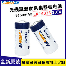 RAMWAY睿奕ER14335烟雾报警器硫化氢检测温湿度记录仪3.6V锂电池
