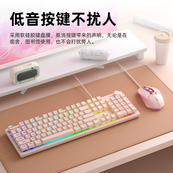 HP/HP K500Y Keyboard Game Competitive Office Wired Laptop Desktop General Cross-Border Amazon