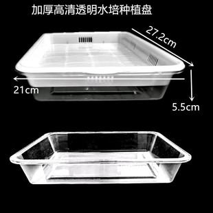 �¿�͸��ˮ��Nֲ�Pѿ��˷Nֲ�胺ͯ�^�쿴��Ҋ�����Lˮ���䶹ѿ