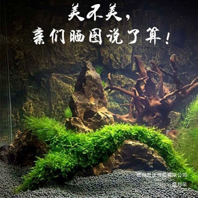 Прямая продажа завода арка мост затонувшая древесина, большое треугольное Моховое дерево, готовый аквариум, ландшафт, водные растения, корни натуральной трубы