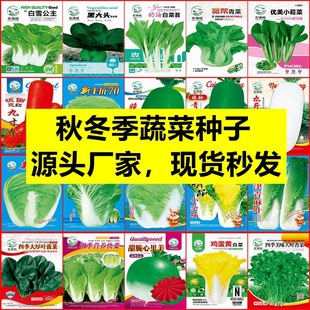 �ﶬ�����N�߲˷N�Ӵ�ײ˷N�ӷN��lѿ�ʸ߲������l��˾��Ʒ�N