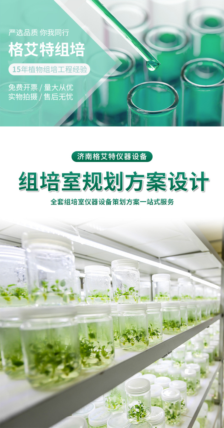 组培方案_01.jpg