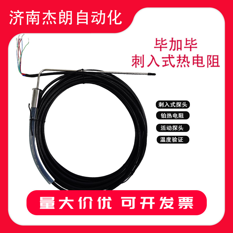 德国B+B双芯热电阻 新华灭菌柜温度验证活动探头 聚四氟乙烯材质