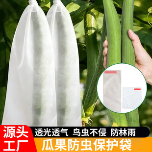 �o��������ˮ���״��� ���x���B�Ϲ��߲ˌ���͸��o�����״����l