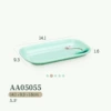 AA05055