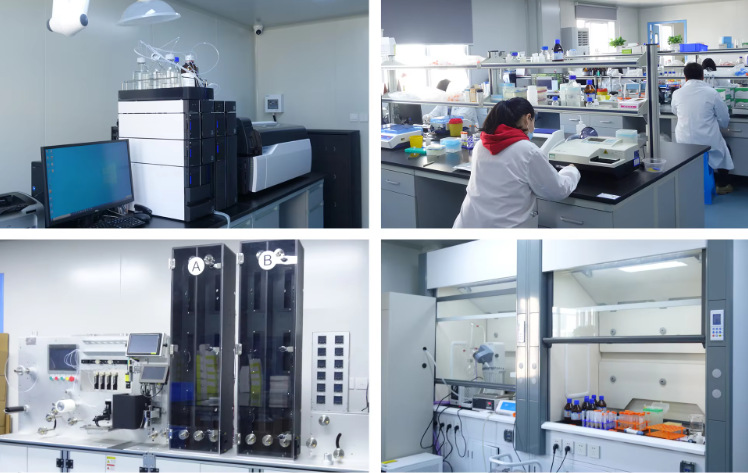 微信图片_20250915090517