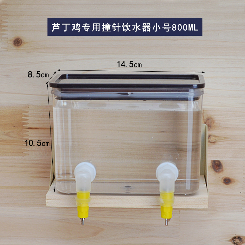 小号撞针饮水器800ml♜✦