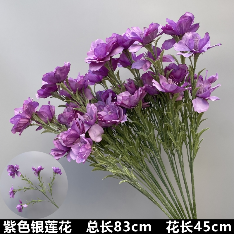 보라색 보라색 아네모네