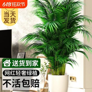 ɢβֲԿ͏d;Gֲ҃kPβB滨