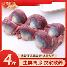 新鲜鸭胗[4斤装包邮]生鸭珍冷冻生鲜大鸭肫鸭生鸭肾鸭胃