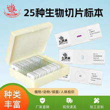 生物标本切片混装25种显微镜样本植物动物组织学综合套种类不重复