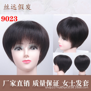 Wig Women's Short Hair Natural Style Mother Middle-aged and Elderly Women's Short Curly Hair Set Real-life Silk Full Head Cover All-real Style