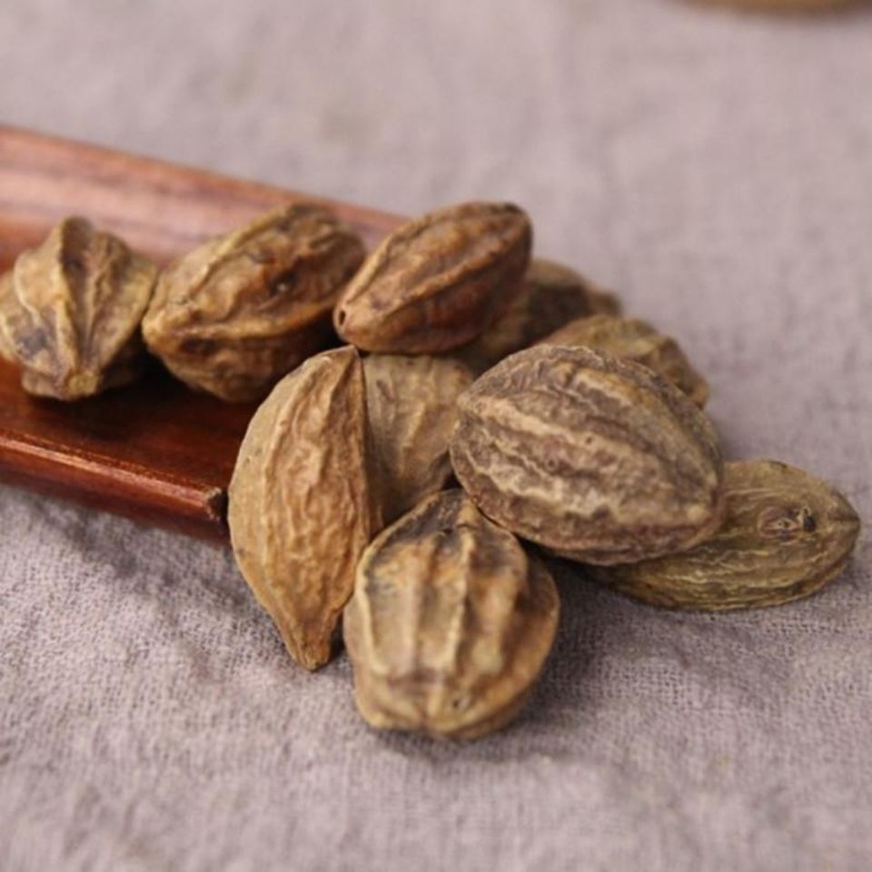 Chebula Fruit He Zi 500g Dried Terminalia Chebula Slices Traditional Chinese Herb for Decoction and Tea in use